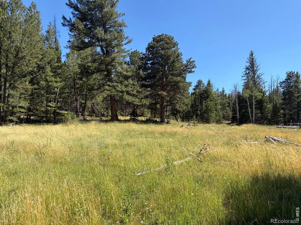 Pratt Creek Road Livermore CO 80536