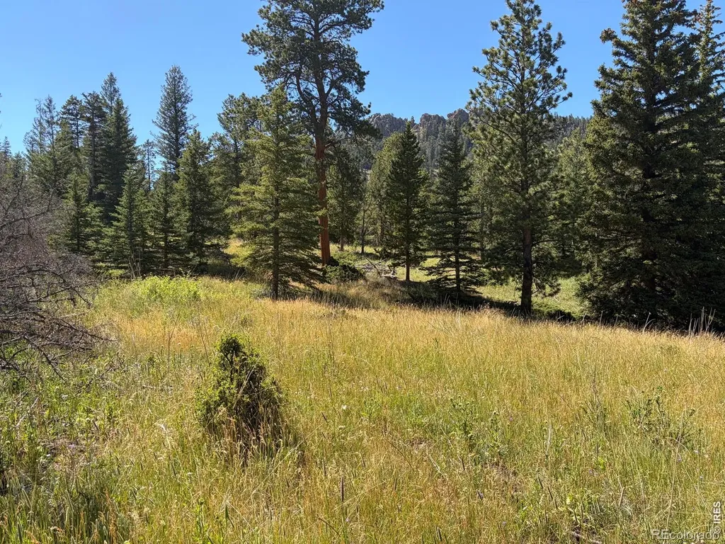 Pratt Creek Road Livermore CO 80536