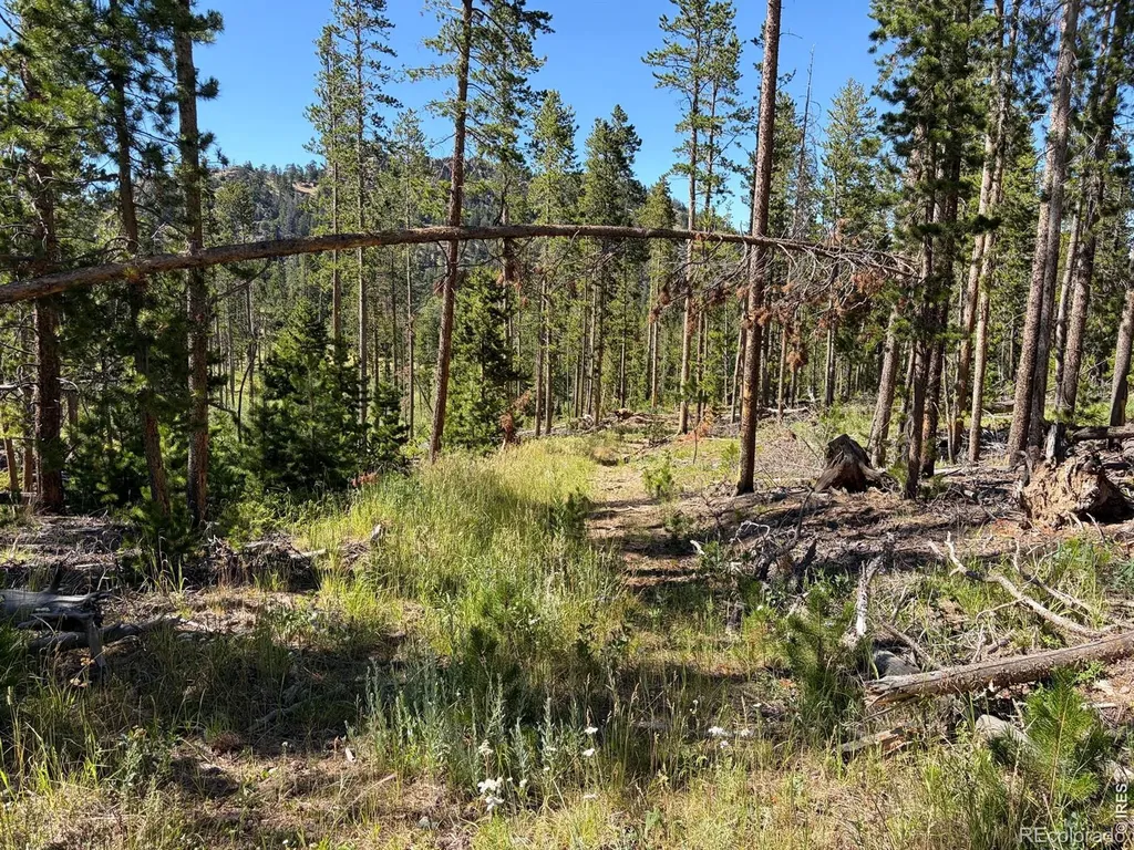 Pratt Creek Road Livermore CO 80536