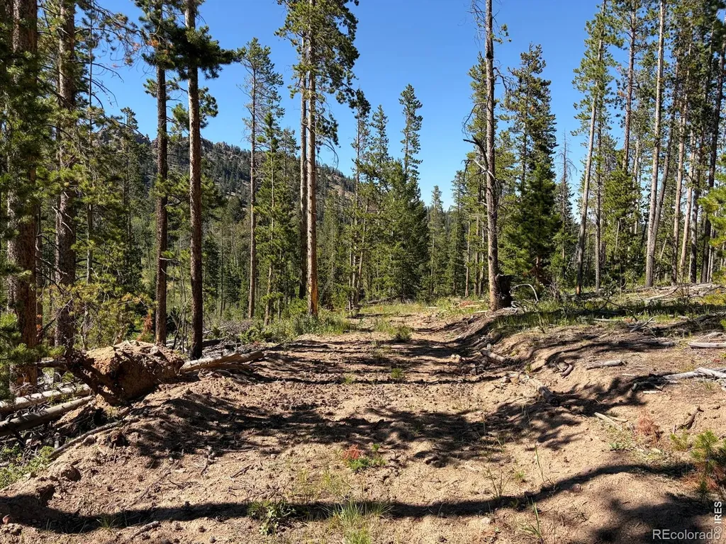 Pratt Creek Road Livermore CO 80536