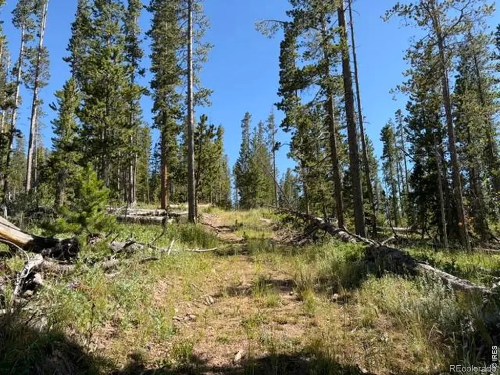 Pratt Creek Road Livermore CO 80536