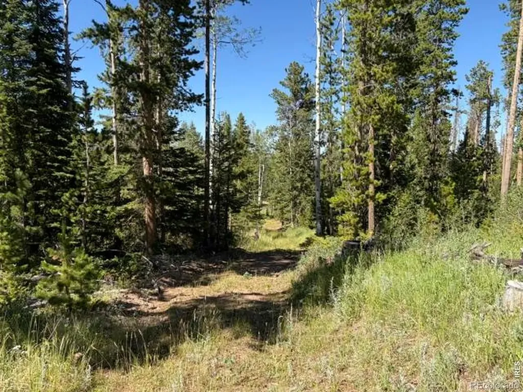 Pratt Creek Road Livermore CO 80536