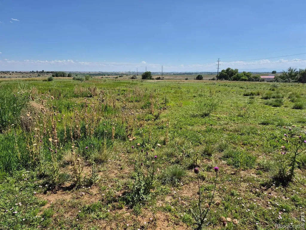 9140 County Road 54 Milliken CO 80543