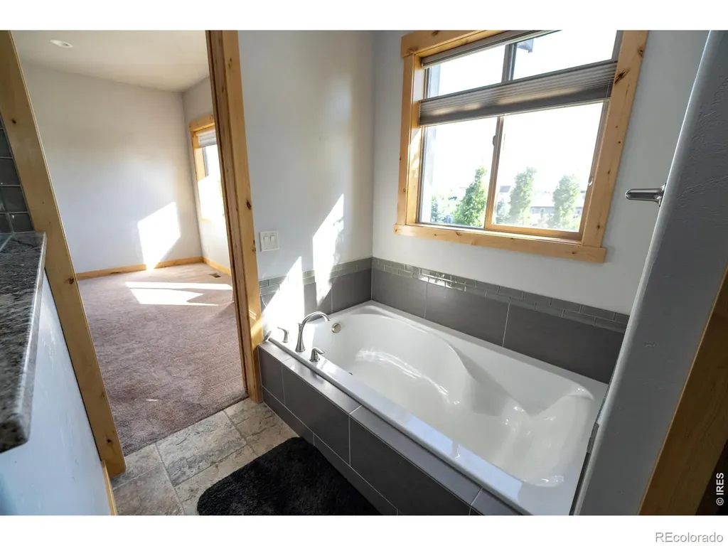 3969 Cashen Lane Timnath CO 80547
