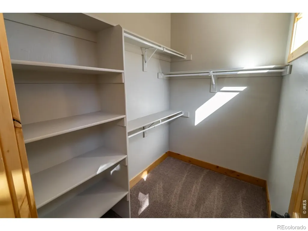 3969 Cashen Lane Timnath CO 80547