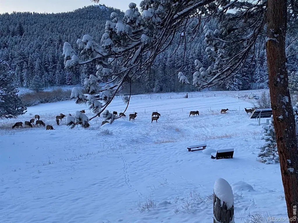 1820 Lazy Z Road Nederland CO 80466