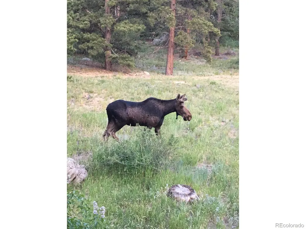 1820 Lazy Z Road Nederland CO 80466