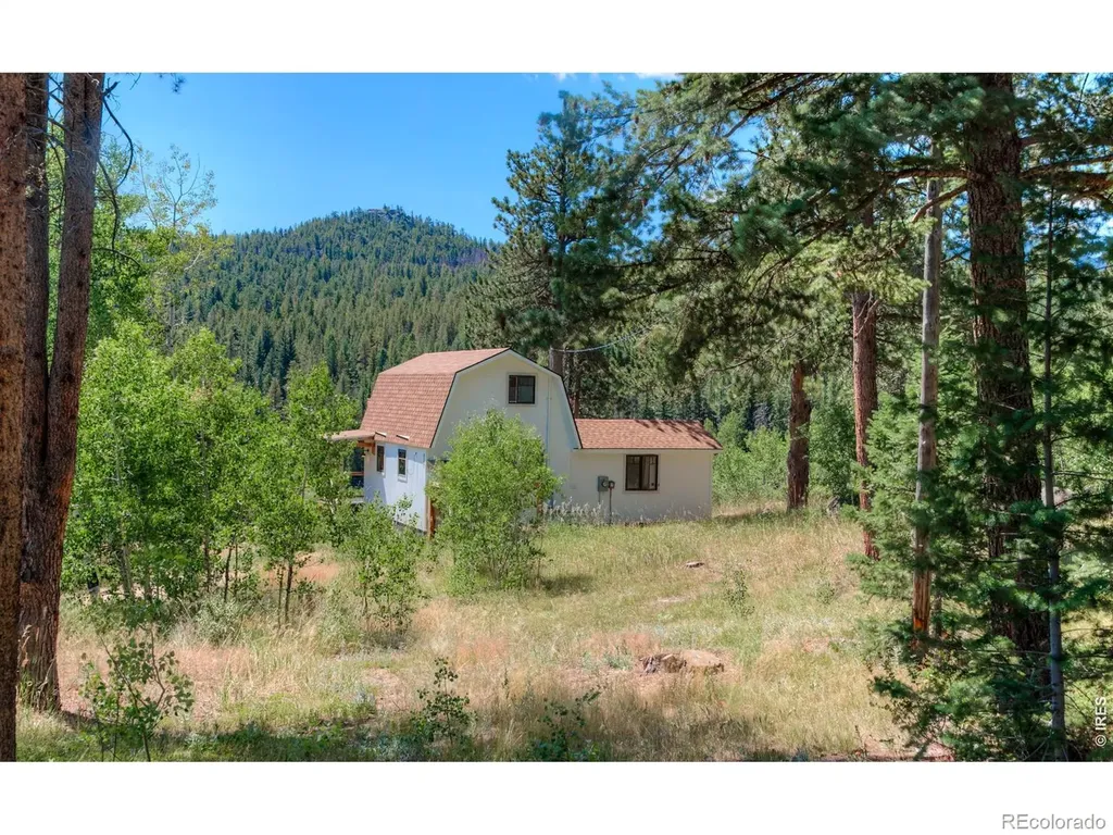 1820 Lazy Z Road Nederland CO 80466
