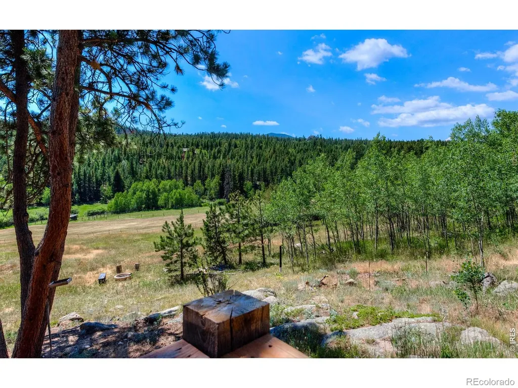1820 Lazy Z Road Nederland CO 80466