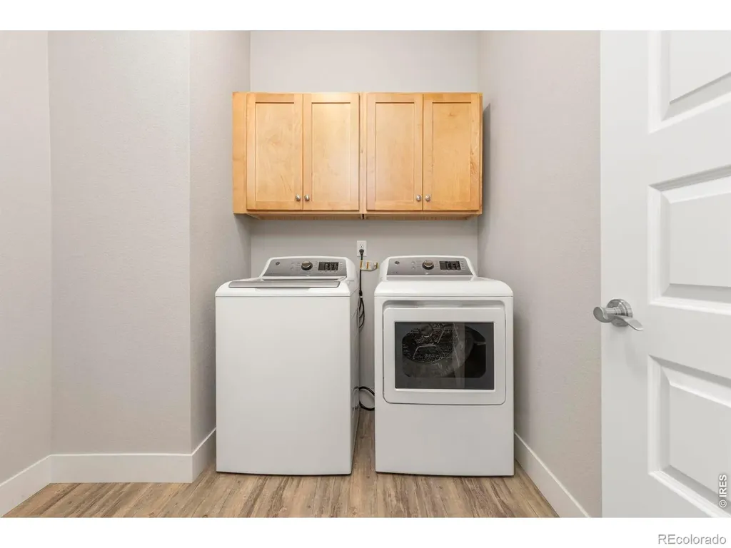 3836 Sweetgum Street Wellington CO 80549