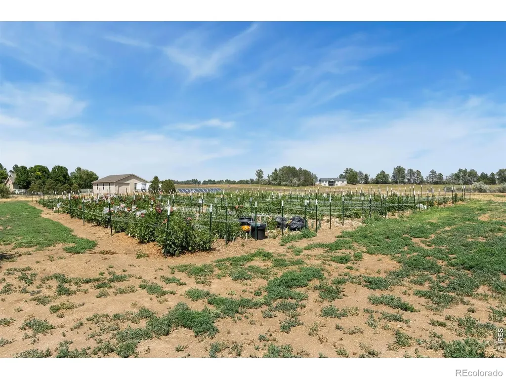 444 E County Road 68 Fort Collins CO 80524