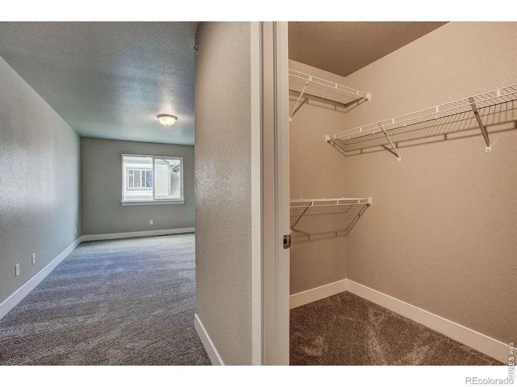 4145 Crittenton Lane Wellington CO 80549
