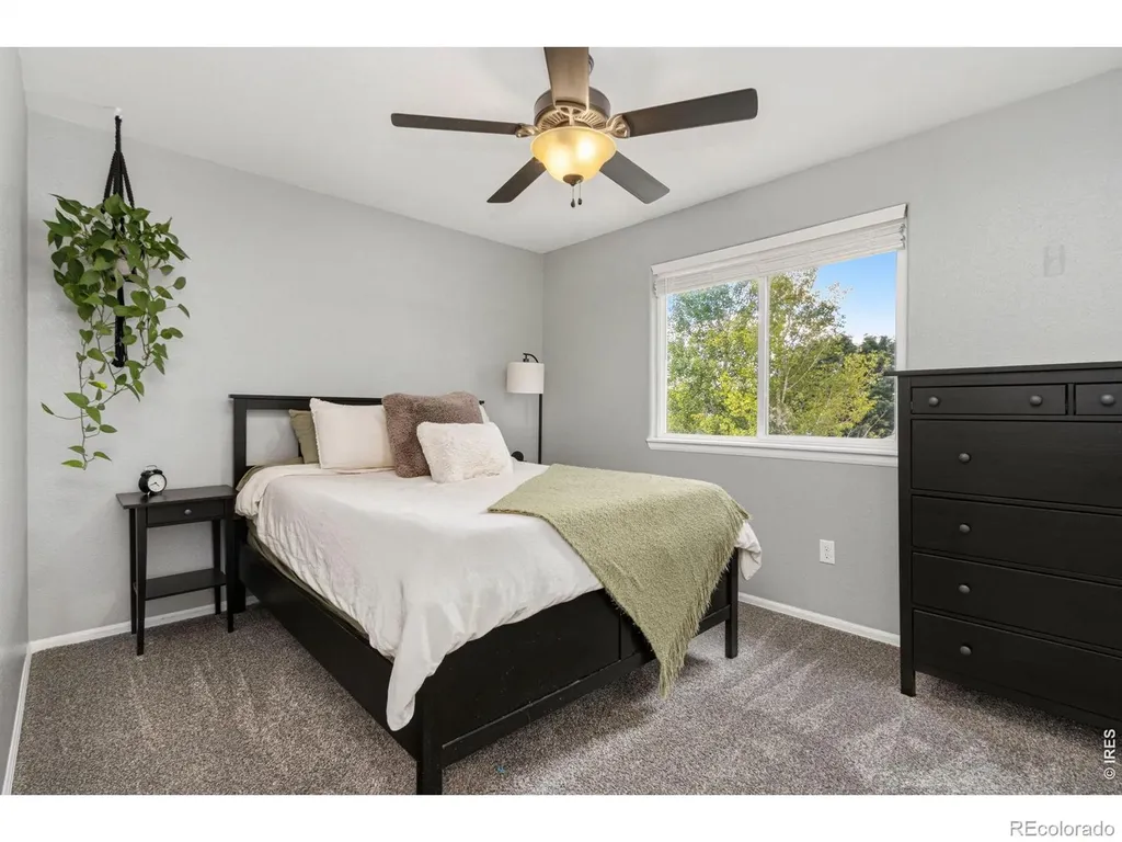 6837 Mcclellan Road Wellington CO 80549
