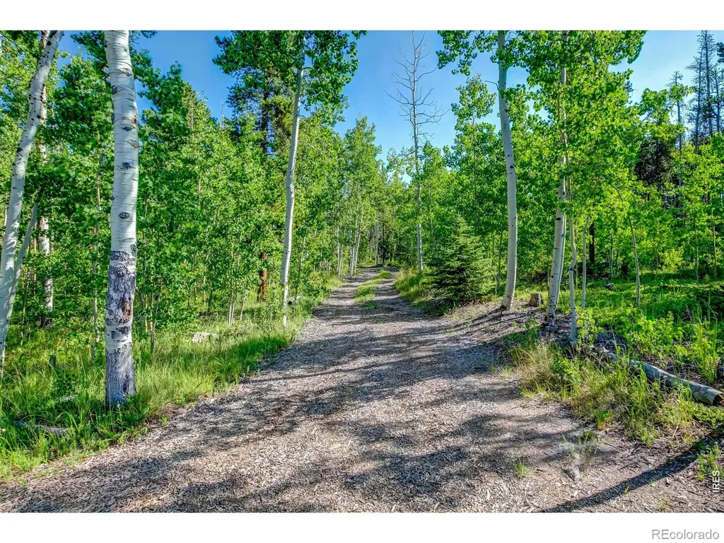 5431 Storm Mountain Drive Drake CO 80515