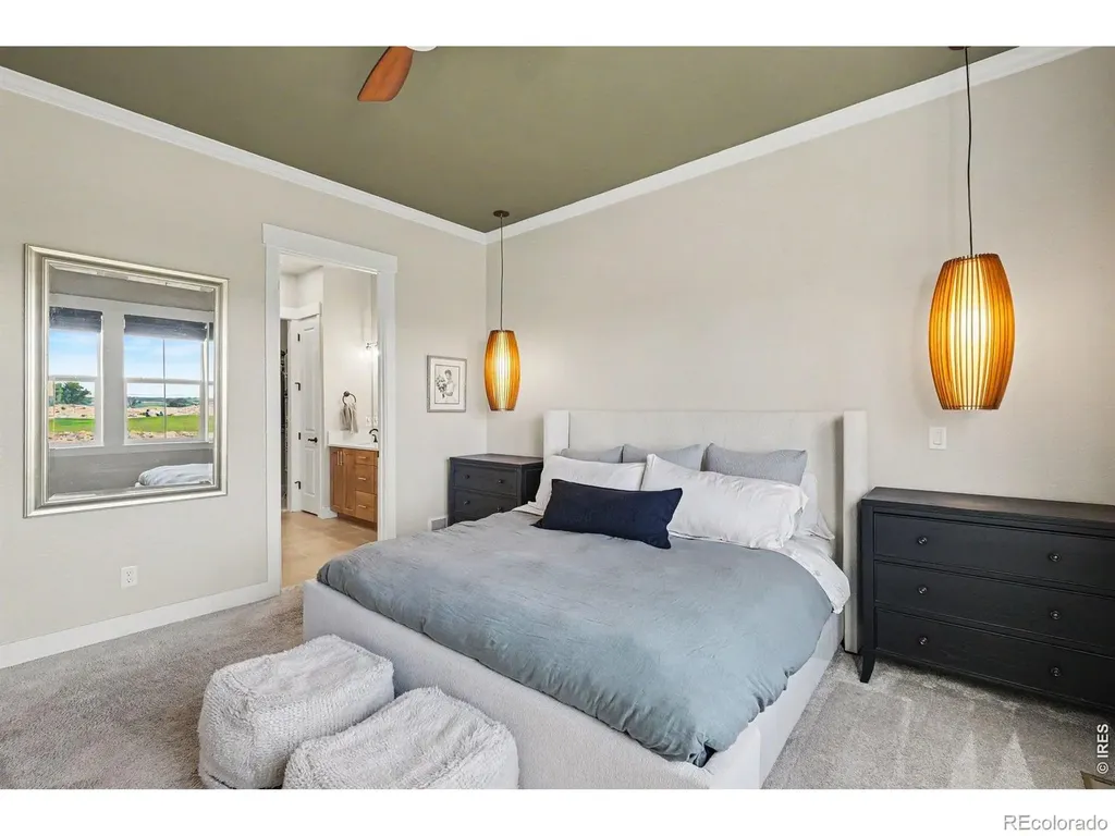 4328 Ardglass Lane Timnath CO 80547