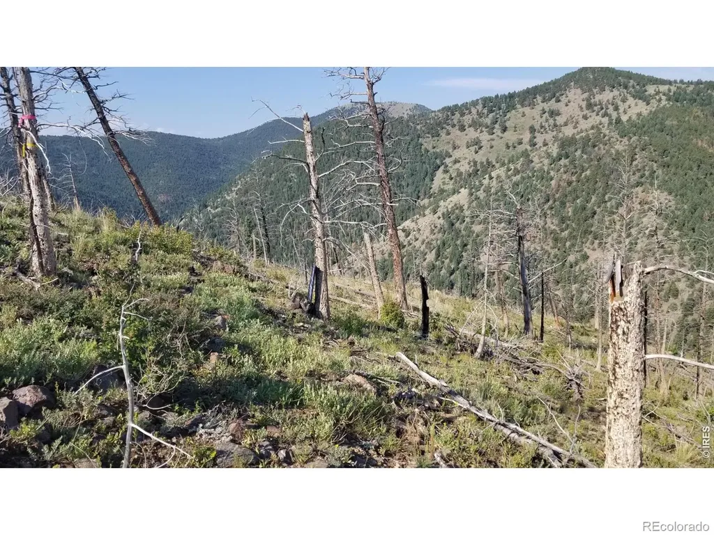 0 Pennsylvania Gulch Road Boulder CO 80302