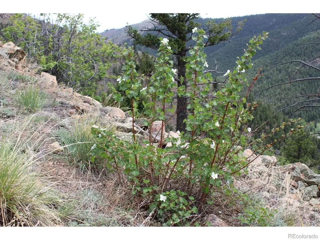 0 Pennsylvania Gulch Road Boulder CO 80302