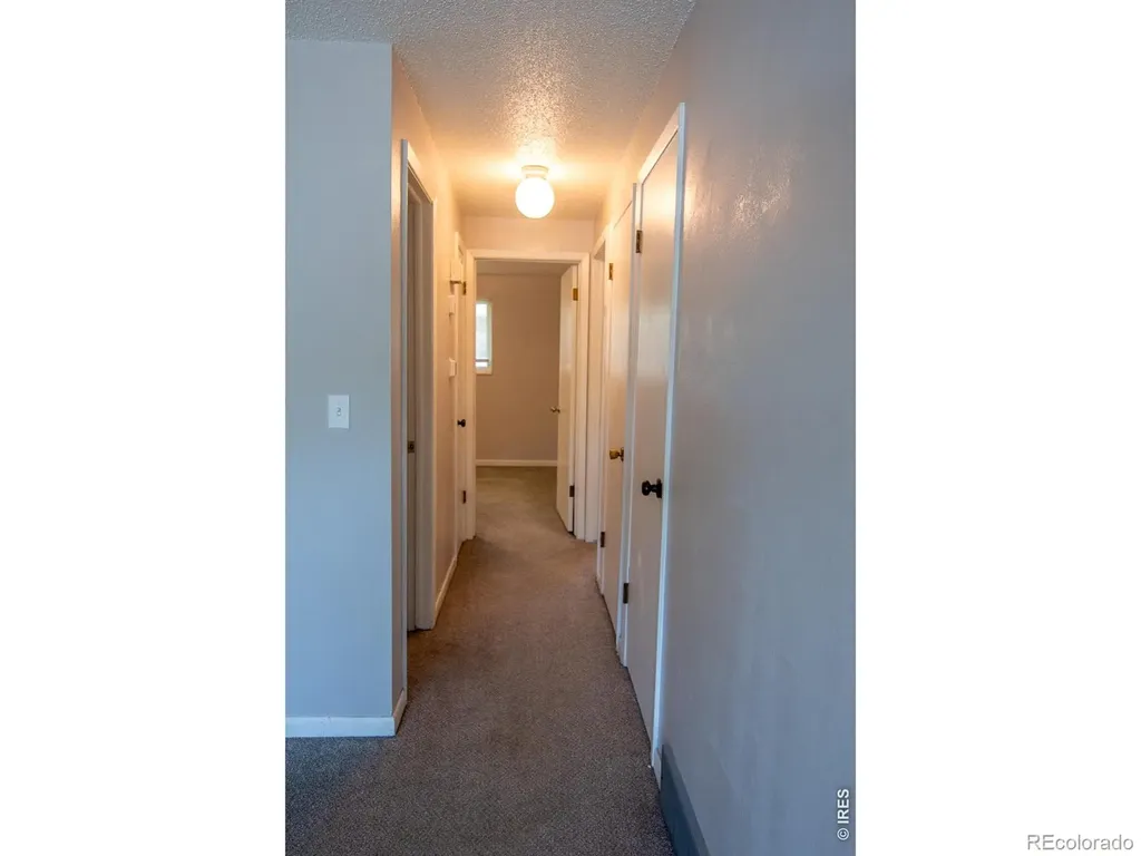 472 Lashley Street Longmont CO 80504