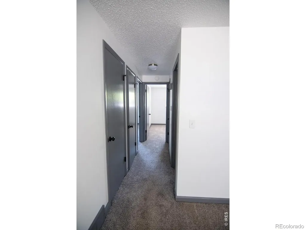 472 Lashley Street Longmont CO 80504