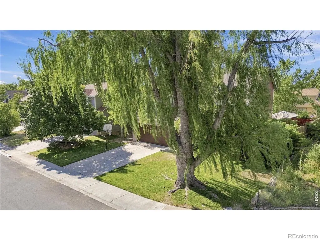 1037 Deer Creek Lane Fort Collins CO 80526