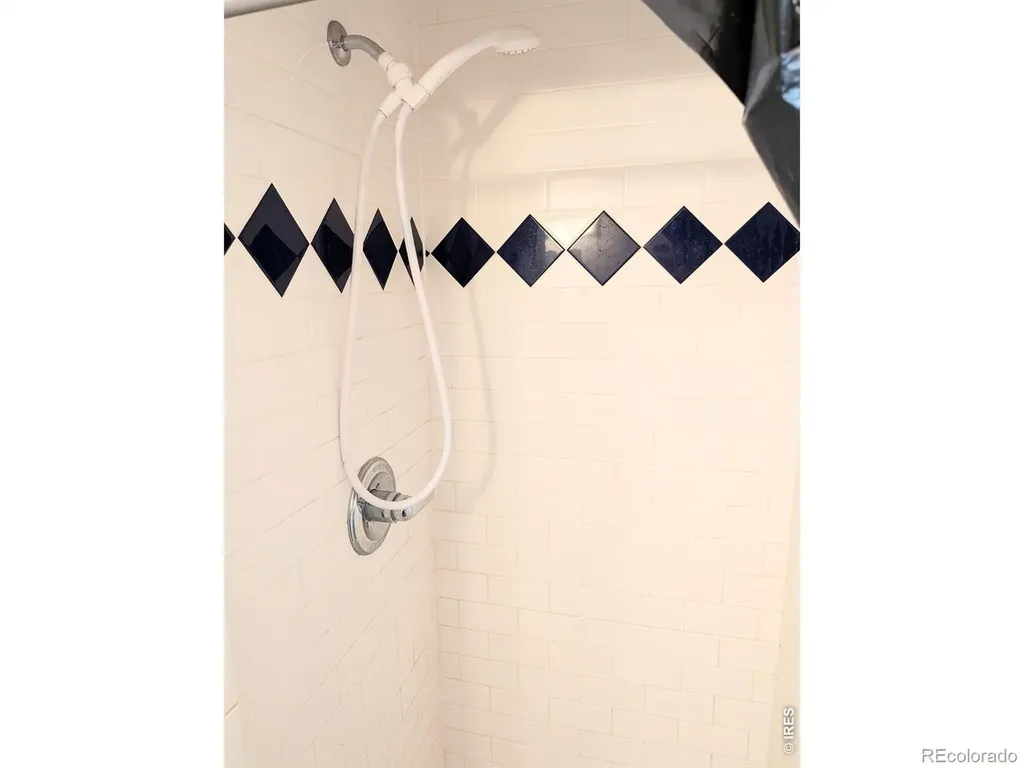 507 Birch Avenue Estes Park CO 80517