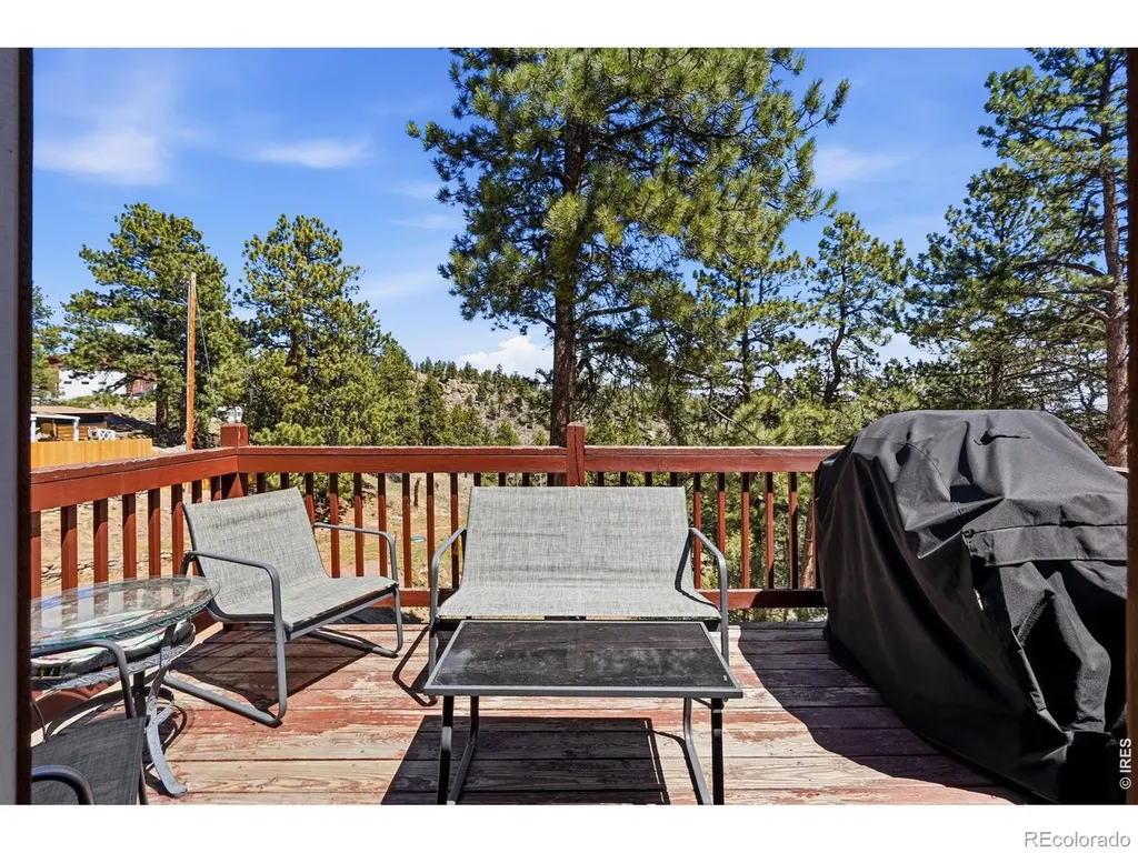 280 Bunny Road Bailey CO 80421