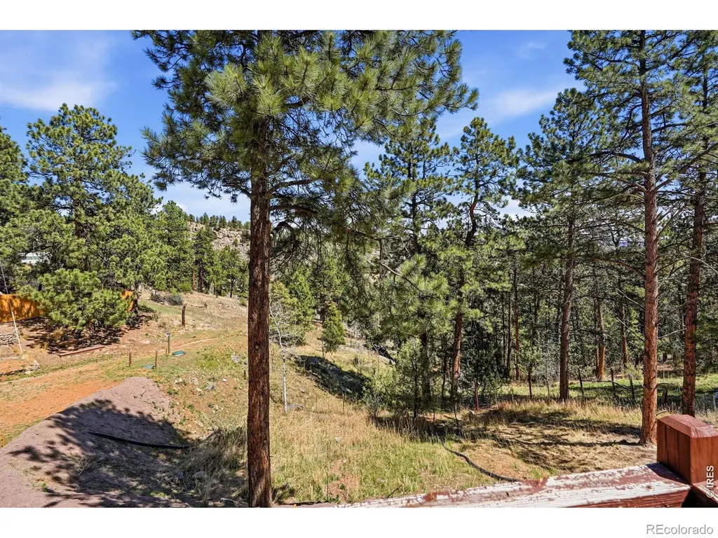 280 Bunny Road Bailey CO 80421