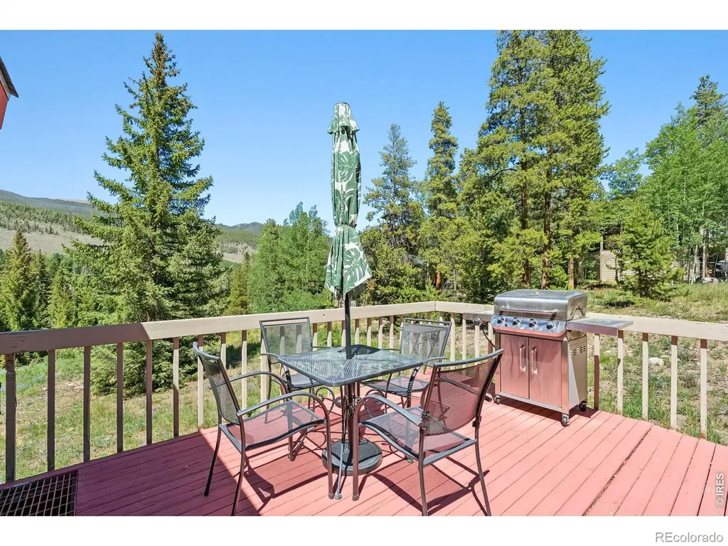 93 Last Chance Lane Keystone CO 80435