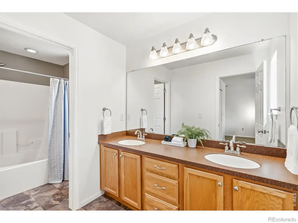 3756 Gardenwall Court Fort Collins CO 80524