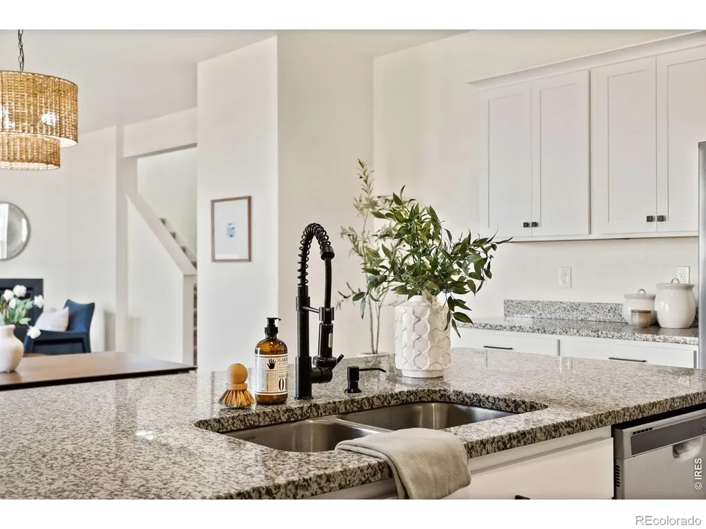 6512 Coralbell Street Wellington CO 80549