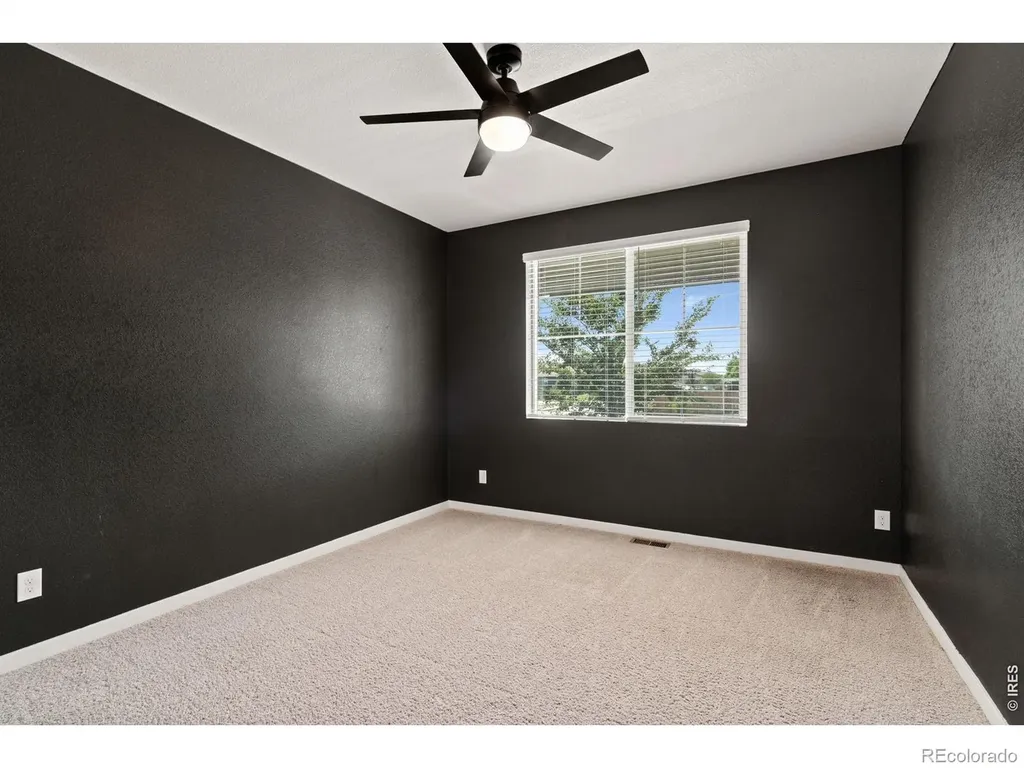 6512 Coralbell Street Wellington CO 80549