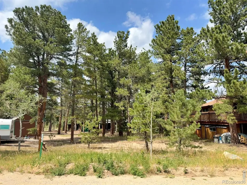 655 W Spruce Street Nederland CO 80466