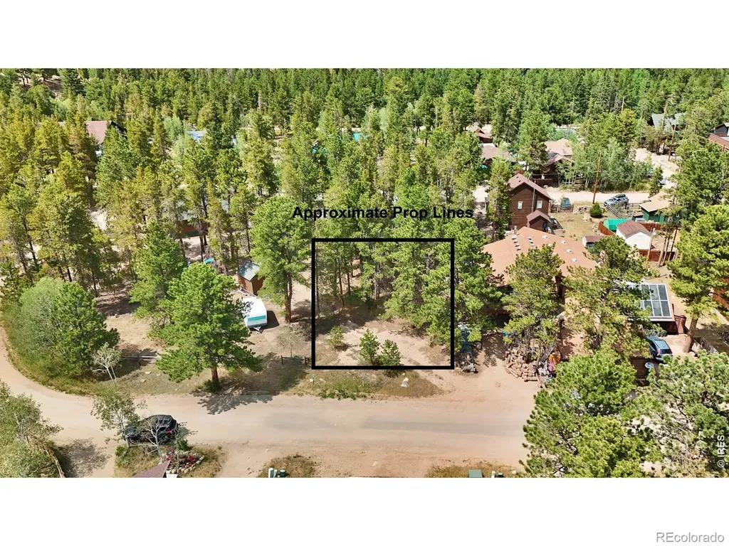 655 W Spruce Street Nederland CO 80466
