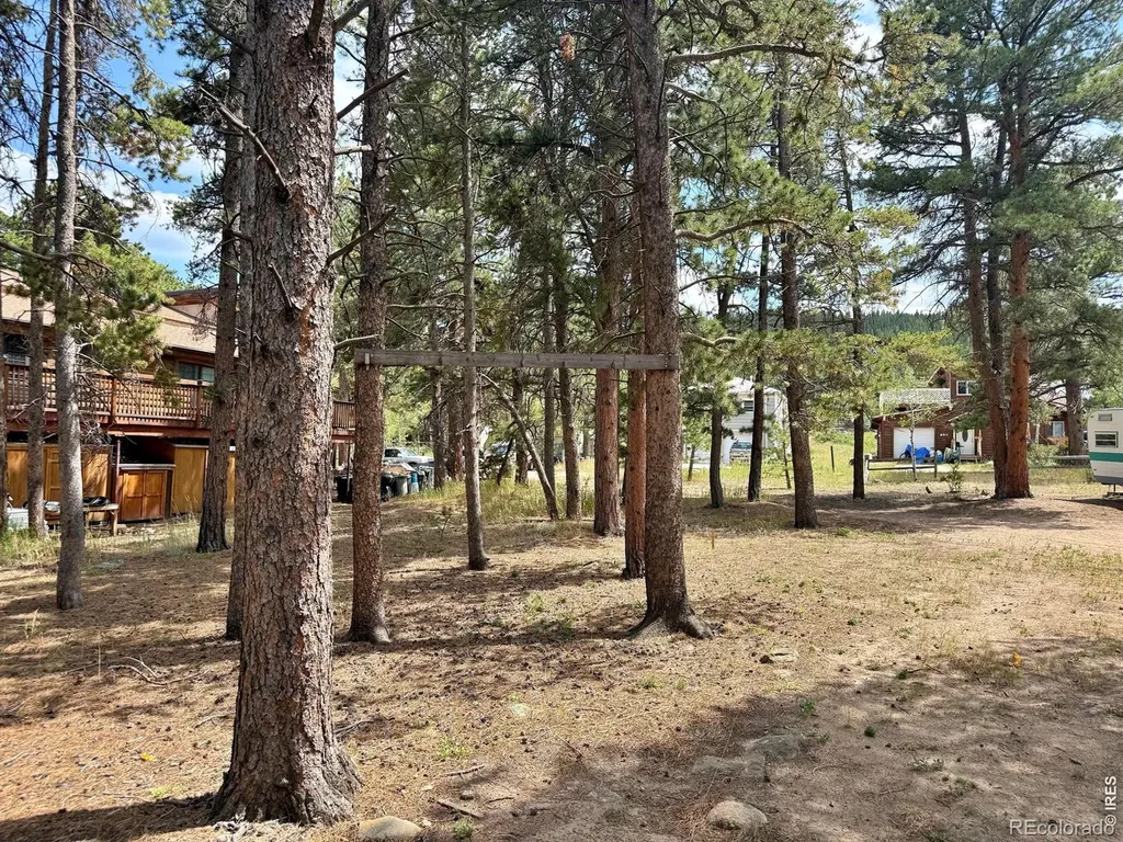655 W Spruce Street Nederland CO 80466