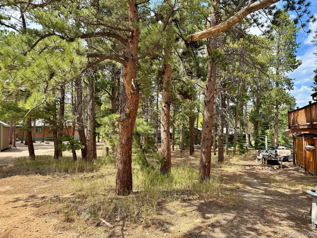 655 W Spruce Street Nederland CO 80466