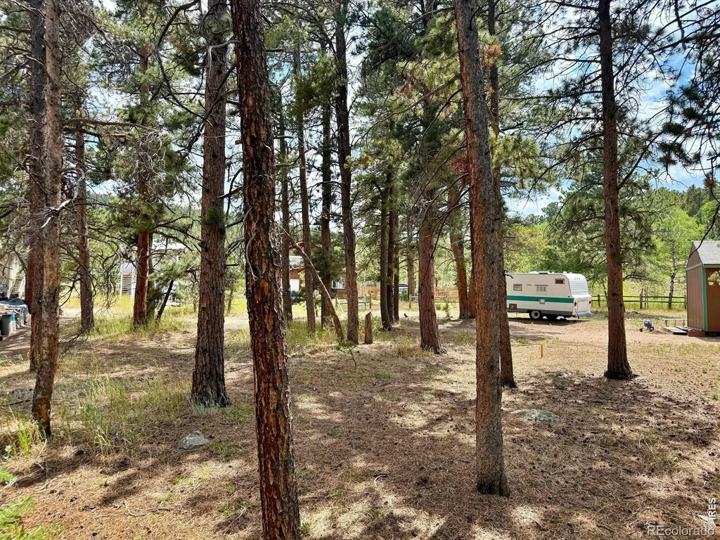 655 W Spruce Street Nederland CO 80466