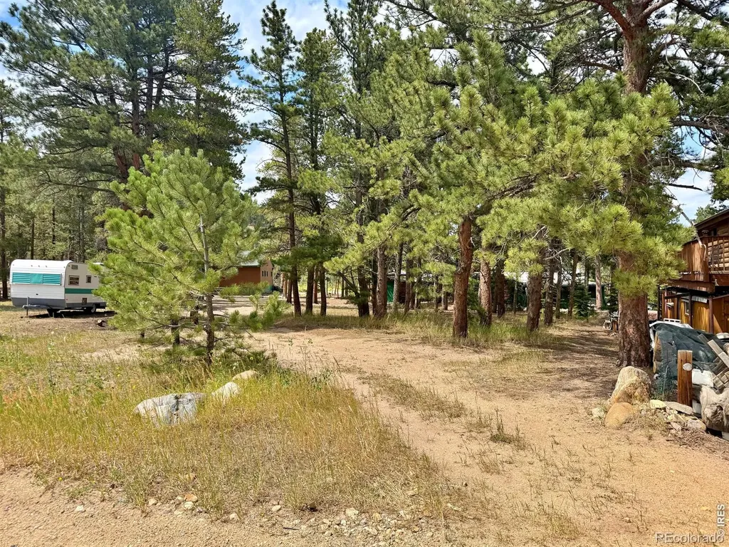 655 W Spruce Street Nederland CO 80466