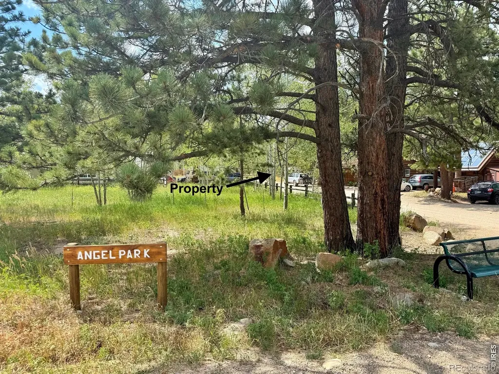 655 W Spruce Street Nederland CO 80466