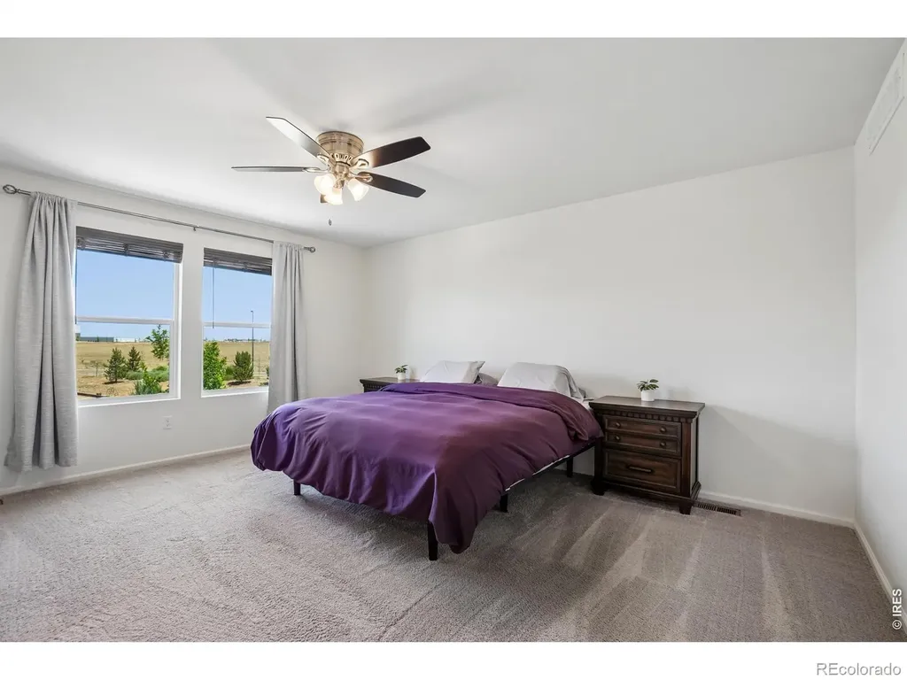4109 Chasm Lake Drive Loveland CO 80538