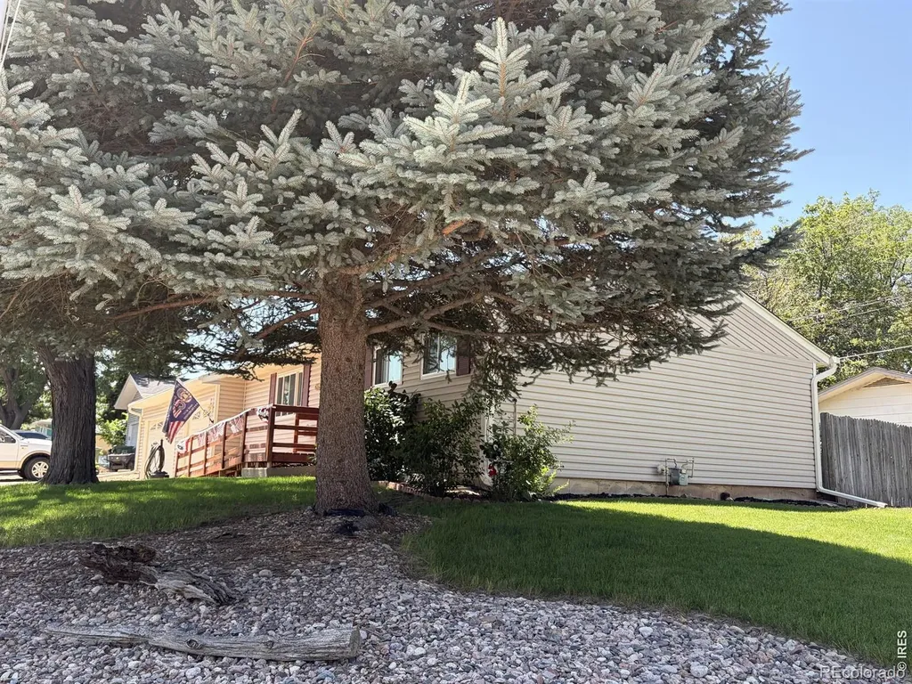 1907 S Custer Avenue Loveland CO 80537