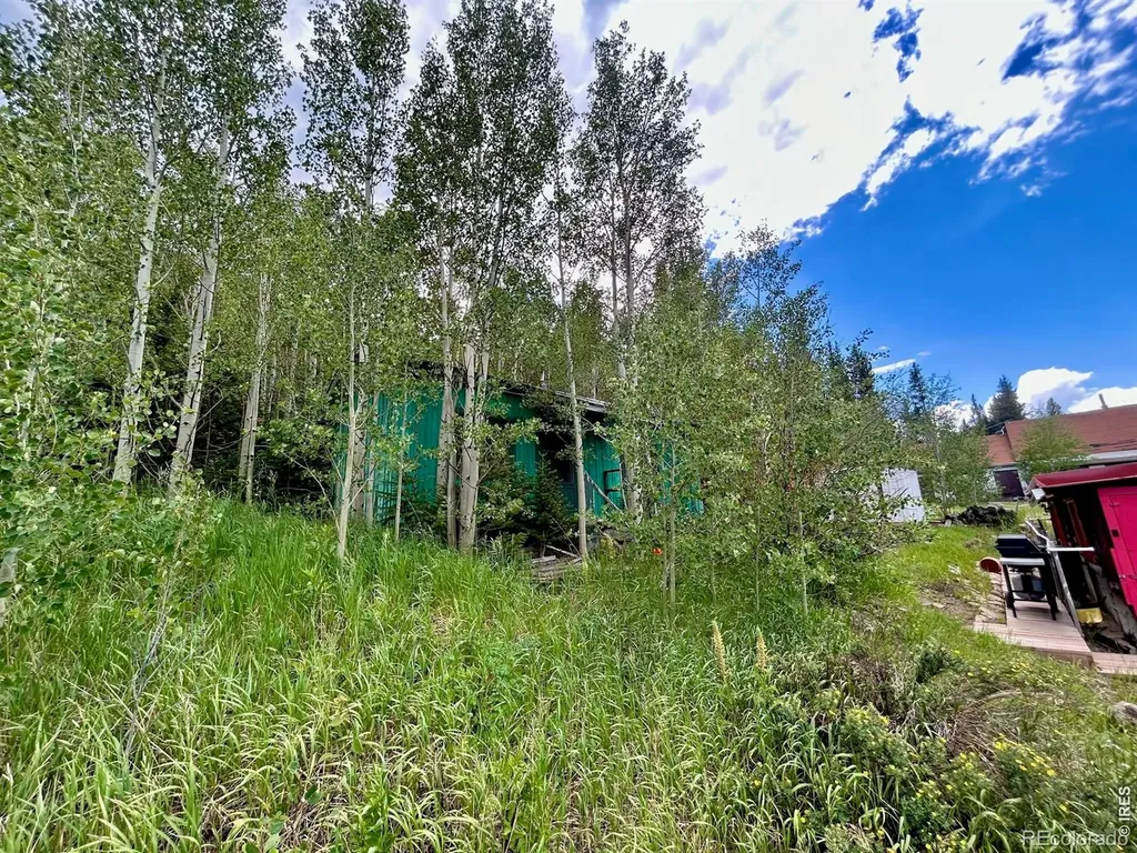 5004 Tolland Road Rollinsville CO 80474