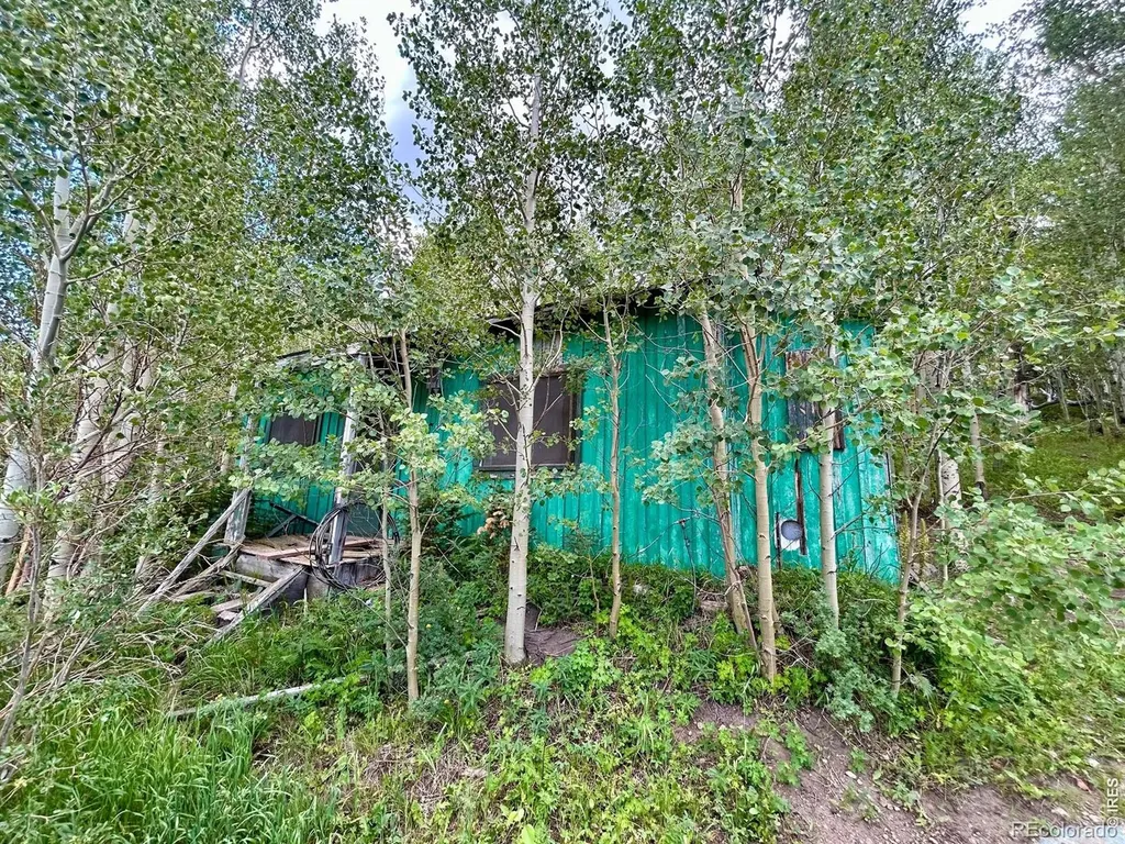 5004 Tolland Road Rollinsville CO 80474