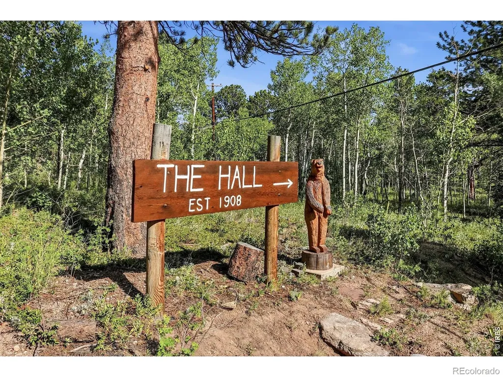 3497 Coal Creek Canyon Drive Nederland CO 80466
