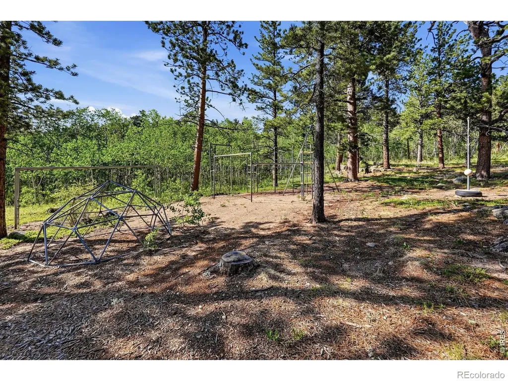3497 Coal Creek Canyon Drive Nederland CO 80466