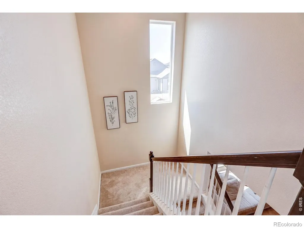 1617 Northcroft Drive Windsor CO 80550