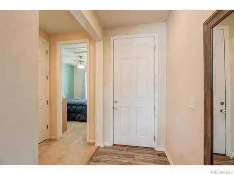1617 Northcroft Drive Windsor CO 80550