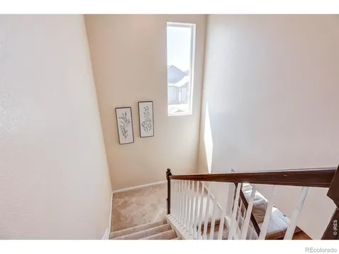 1617 Northcroft Drive Windsor CO 80550