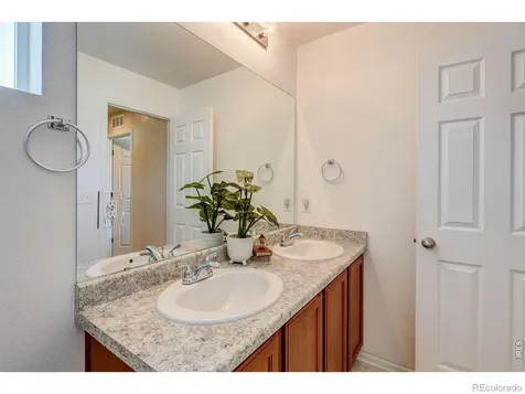 1617 Northcroft Drive Windsor CO 80550