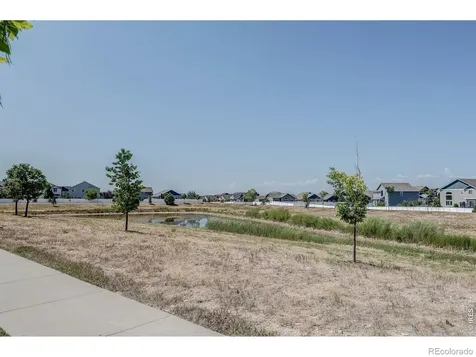 1617 Northcroft Drive Windsor CO 80550
