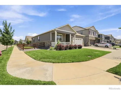 1911 Raindrop Drive Windsor CO 80550